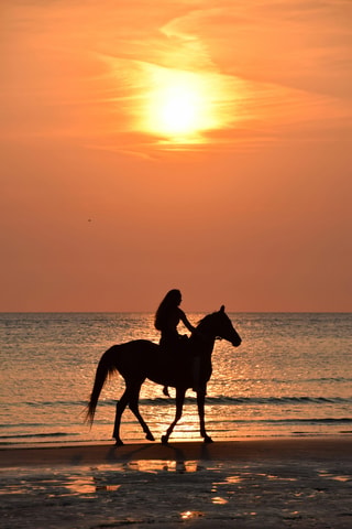 Paros: Morning Horse Riding Tour