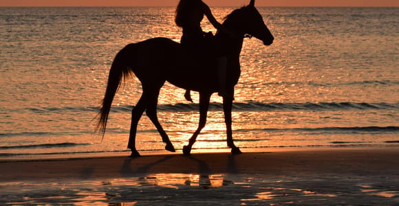 Paros: Morning Horse Riding Tour