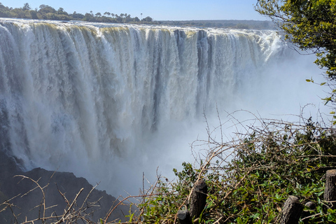 Victoria Falls: Historic Town Tour, Big Tree & Guided Walk