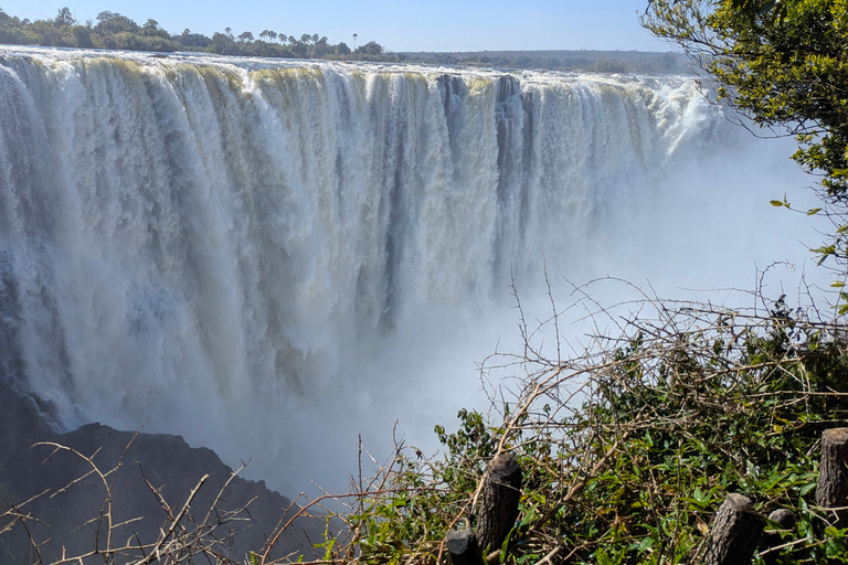 Victoria Falls: Historic Town Tour, Big Tree & Guided Walk
