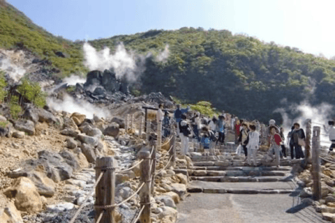 Mount Fuji Full Day Private Customizable Tour with Guide