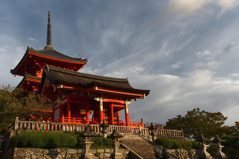 Kyoto: Tour personalizzabile di 4 ore dei siti patrimonio dell&#039;umanitàTour privato in spagnolo (Kyoto Nord)