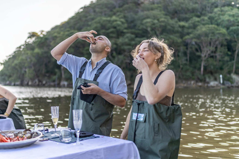 Moreton Bay: Oyster Farm Tour, Boat, Shucking & Tasting