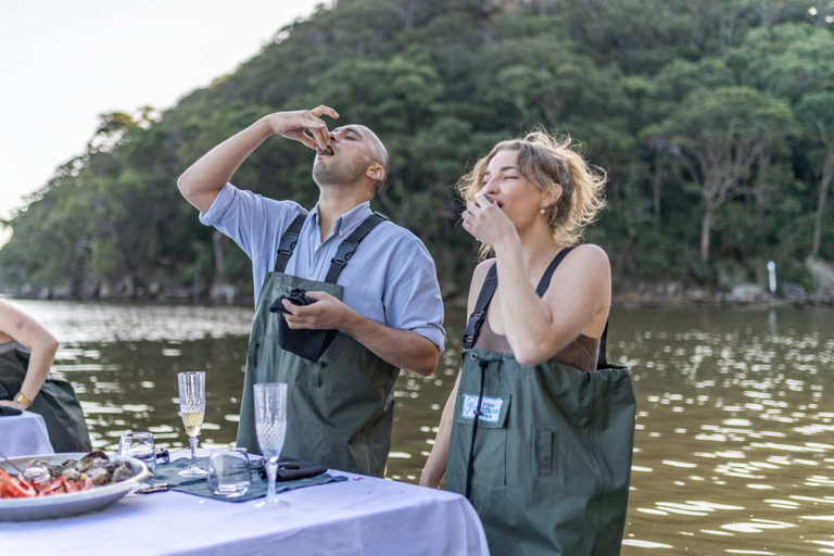 Moreton Bay: Oyster Farm Tour, Boat, Shucking & Tasting