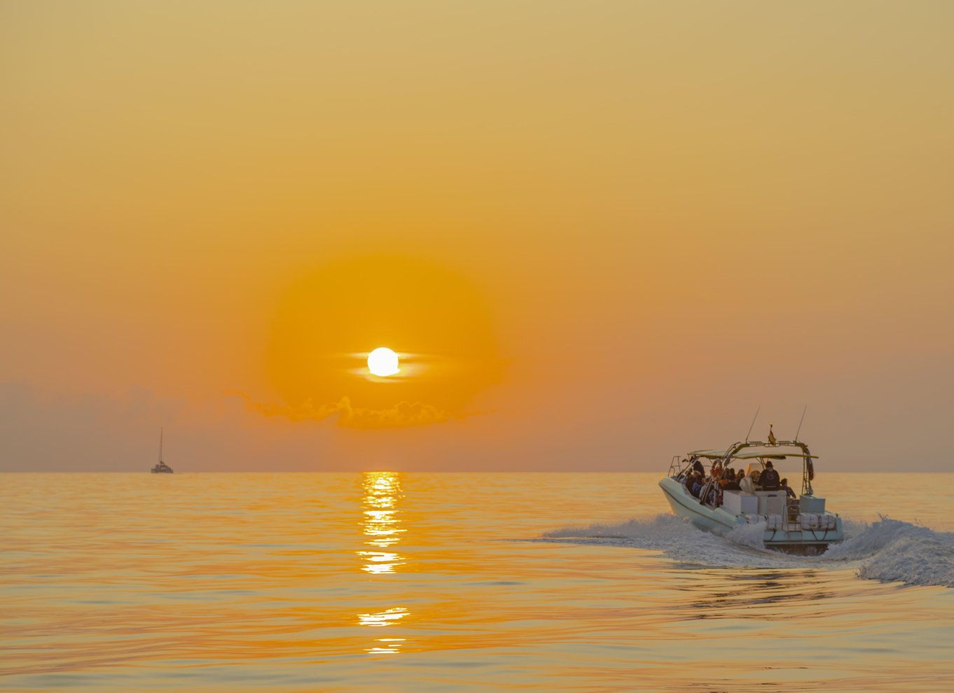 Fra Alcudia: Sejltur ved solopgang med delfinobservation