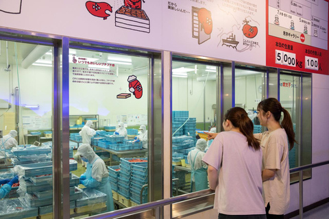 From Tokyo: Ashikaga Flower Park and Hitachi Park Tour