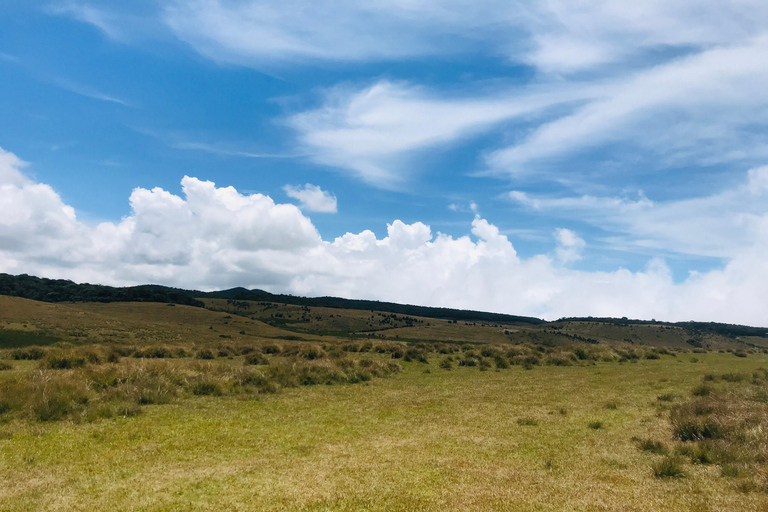 Ella: Horton Plains & Bomburu Ella Waterfall Tour