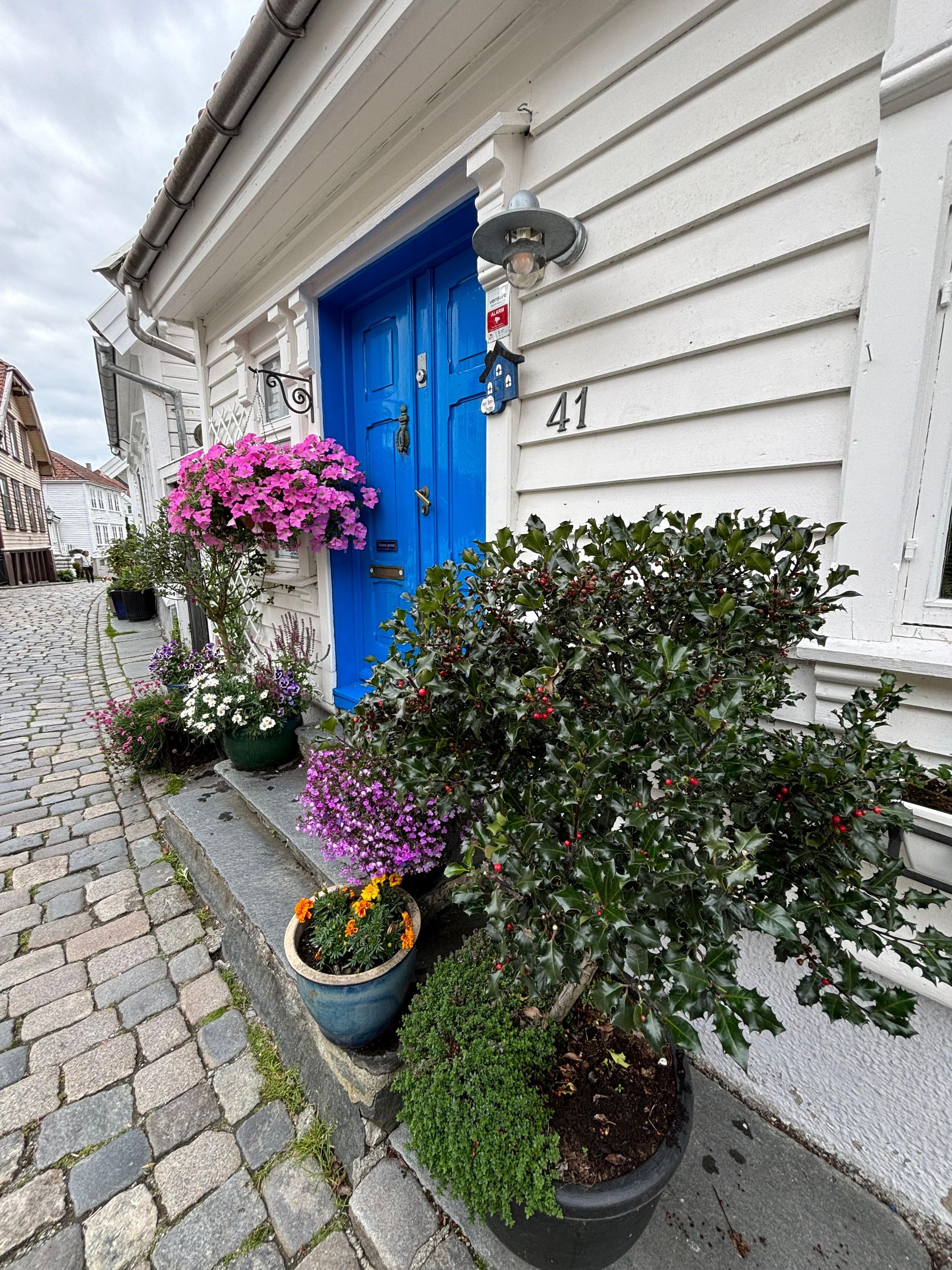 Private+ Stavanger Stadtführung entdecken