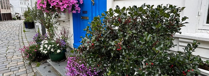 Découvrez la visite guidée de Stavanger en privé+.