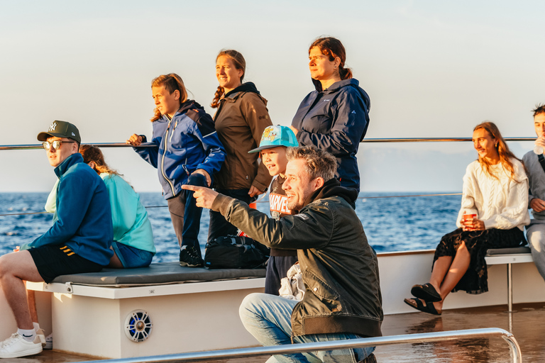 Port d&#039;Alcudia: Soluppgång till havs och båttur med delfinskådning