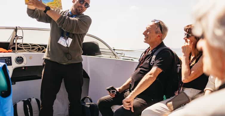 From Milan: Verona, Sirmione and Lake Garda with Boat Cruise photo 16