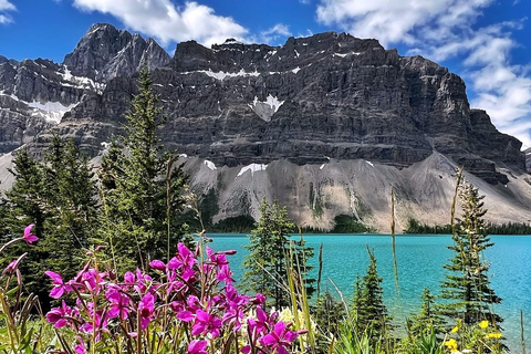 Lo mejor de los glaciares desde Calgary/Canmore/Banff: tour9:00 Canmore, Grande Rockies Resort