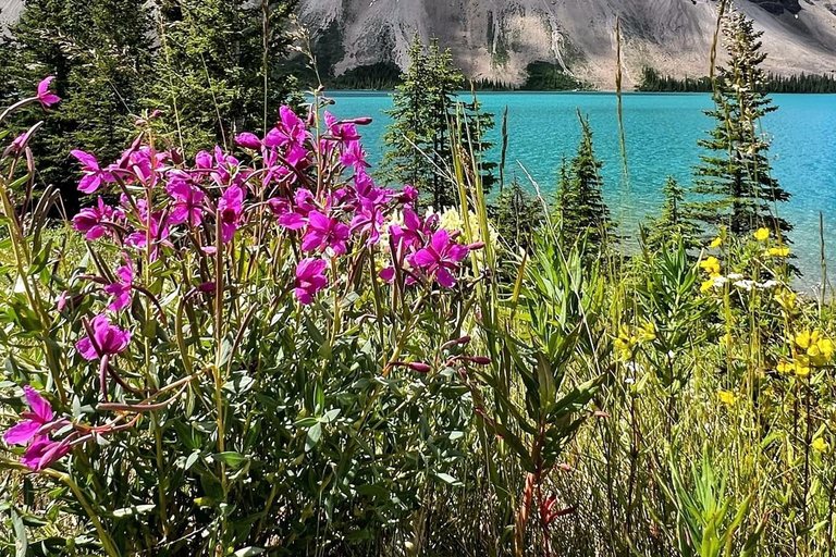 Lo mejor de los glaciares desde Calgary/Canmore/Banff: tour9:00 Canmore, Grande Rockies Resort