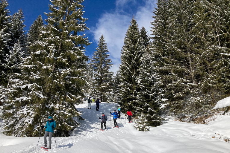 Snowshoeing com Freeride Airboard