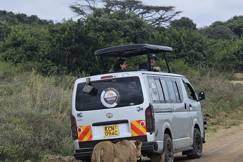 Nairobi Park Safari, Sheldrick's Orphanage & Giraffe Center Shared Drive in Open-Roof Van Game Drive