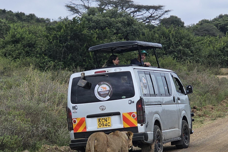 Nairobi Park Safari, Sheldrick's Orphanage & Giraffe Center Shared Drive in Open-Roof Van Game Drive