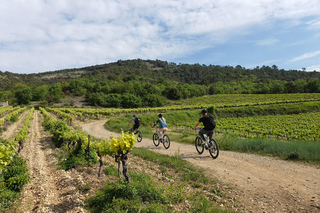 Saint-Martin-d'Ardèche: Electric Bike Wine Tour & Tasting