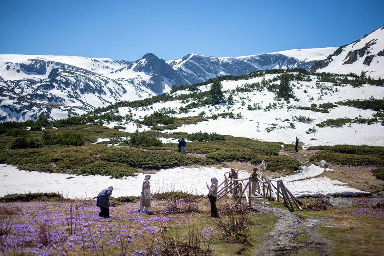 Plovdiv: Full day tour to 7 Rila Lakes