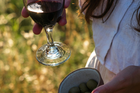 Ronda: Sunset Horseback Ride with Tapas and Wine
