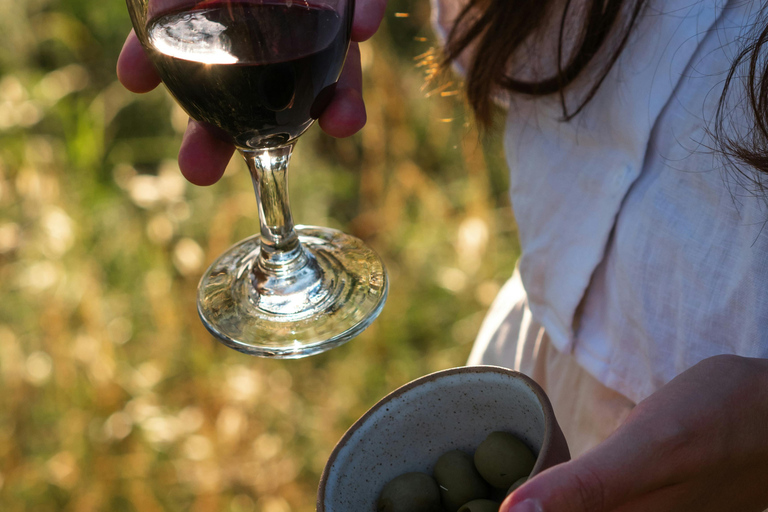 Ronda: Sunset Horseback Ride with Tapas and Wine