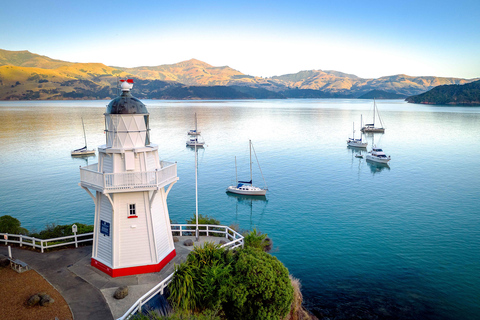 Christchurch: Excursión de un día a Akaroa y la península de Banks