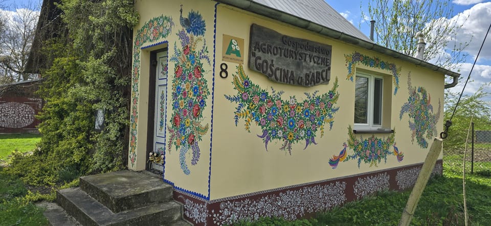 Da Cracovia, Day-Tour di Zalipie Village - Housity