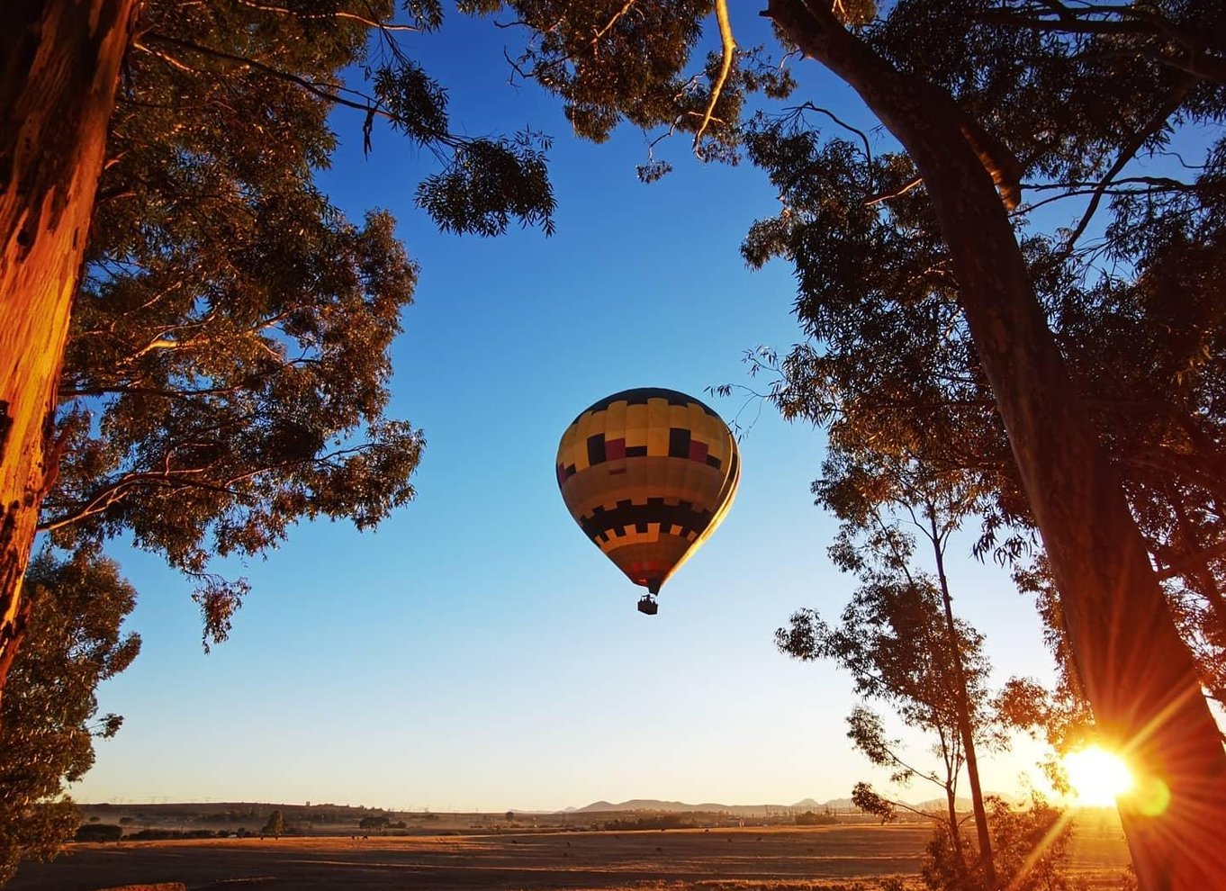 Varmluftsballon og Cape Wine-områder Privat guidet tur