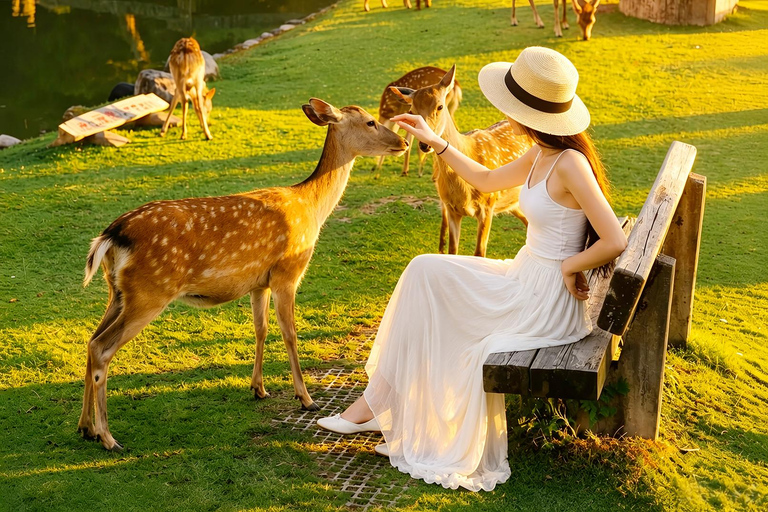 Osaka/Kyoto: Arashiyama, Nara Park & Fushimi Inari Day Tour Kyoto Departure: Private Sightseeing Tours