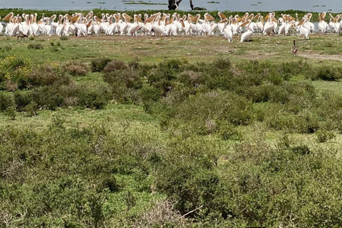 Nairobi: Crescent Island Sanctuary Day Trip with Lunch Nairobi: Crescent Island Sanctuary private day Trip