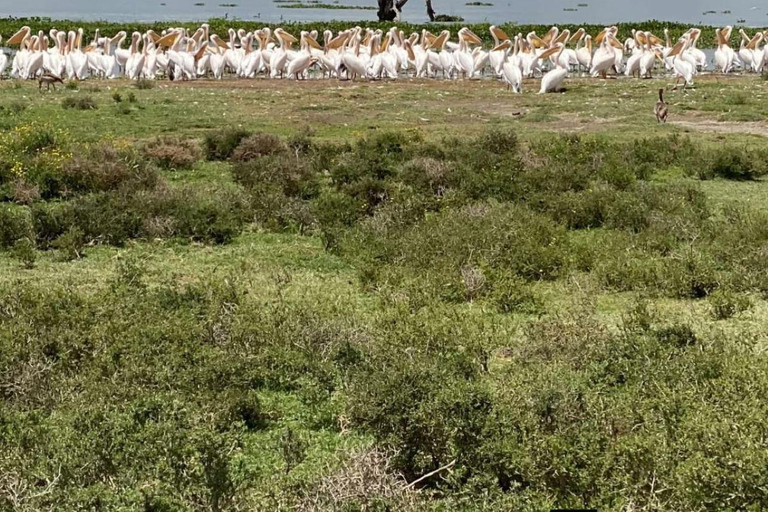 Nairobi: Crescent Island Sanctuary Day Trip with Lunch Nairobi: Crescent Island Sanctuary private day Trip