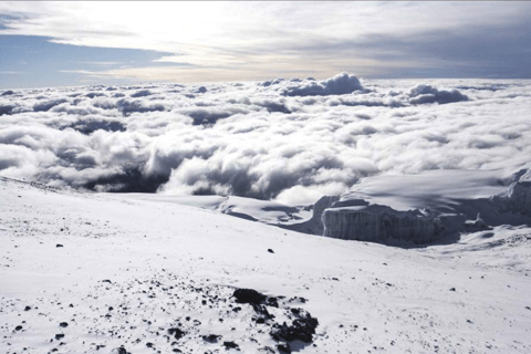 莫希：乞力马扎罗山马兰古路线 2 日徒步