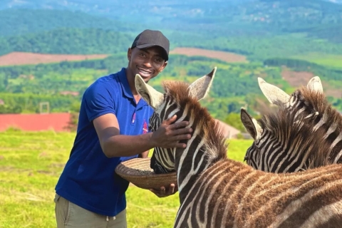 1-Tages-Exkursion in Kampala mit spannenden Wildtieren aus nächster Nähe1-tägige spannende Wildlife upclose Exkursion in kampala