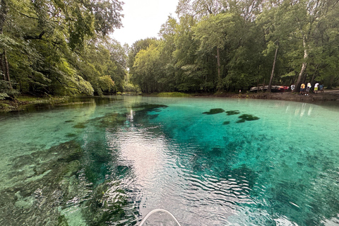 Gilchrist Blue: Clear Kayak Eco Tour