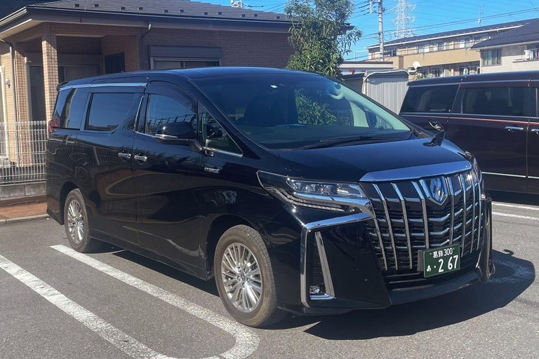 Narita Airport Private Transfer Tokyo