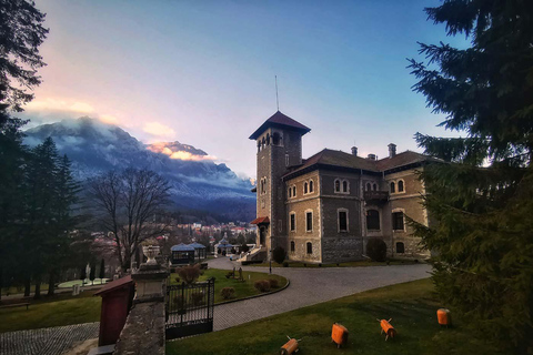 Brașov: Peleș, Bran & Cantacuzino Private Tour + Tickets Without Entry Tickets