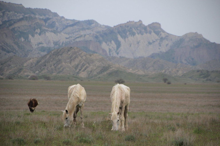 Vashlovani Nature Reserve: Horse Riding Tour