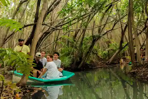From Merida: Beach, Mangrove and something more
