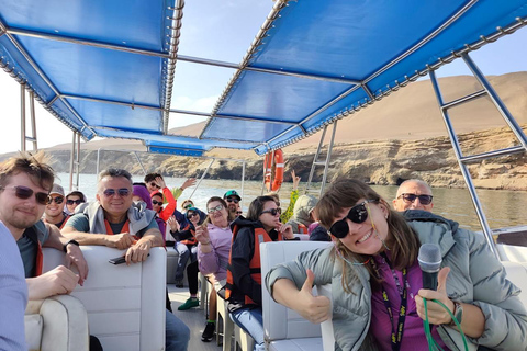 Sunrise in Paracas: Private Sailing to Ballestas Islands Sunrise in Paracas: Private Sailing to the Ballestas Islands