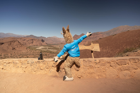 Cafayate: Tour de dia completo por bodegas y degustacion de vinos