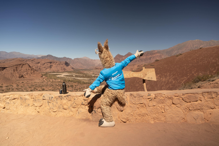 Cafayate: Tour de dia completo por bodegas y degustacion de vinos