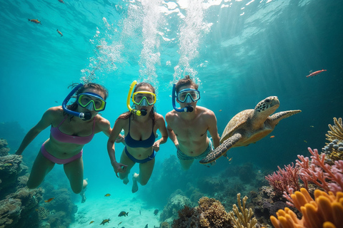 Hurghada: Snorkeltour langs dolfijnen en koraalriffen met lunchSnorkelen &amp; lunch met dolfijnen - exclusief btw