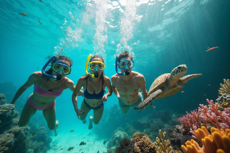 Plongée dans le lagon d&#039;El Gouna et plongée avec les dauphins, avec déjeuner