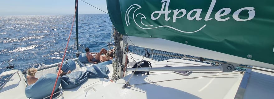 Torrevieja : visite du port à bord du catamaran Apaleo