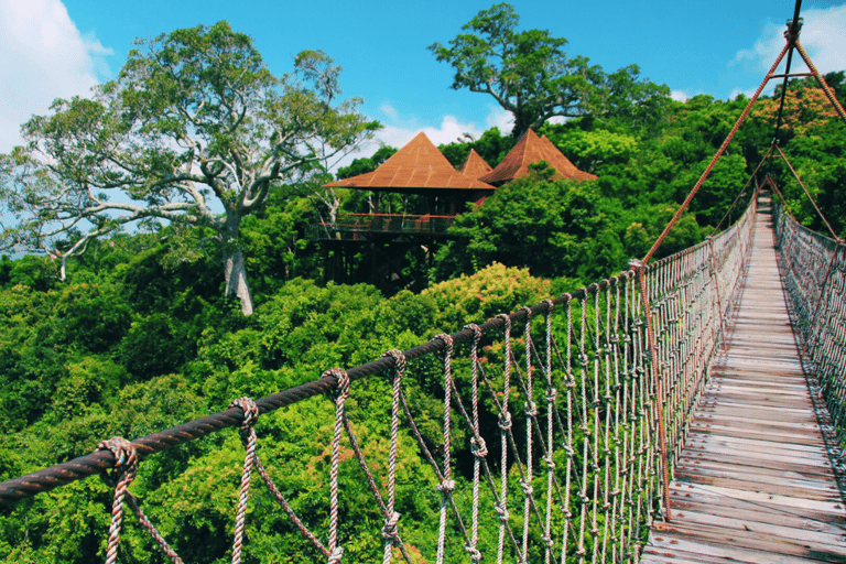 Sanya: Yalong Bay Tropical Forest Ticket and Tour Car