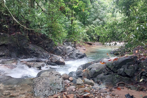 Ujung Kulon National Park: Eco Jungle Treks w/Green Anda's