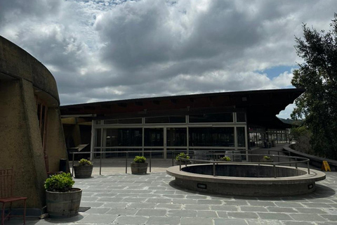 Matetic Winery Tour