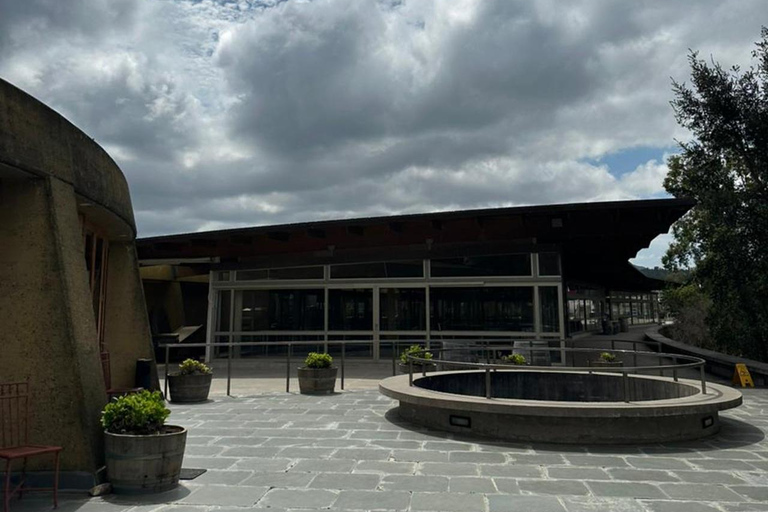 Matetic Winery Tour