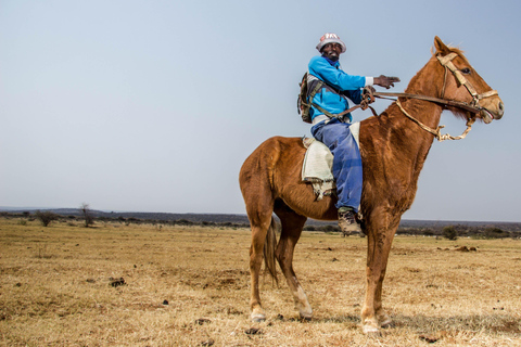 Accra: Horse Riding Experiencer Near Coastal Areas