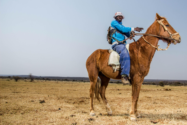 Accra: Horse Riding Experiencer Near Coastal Areas
