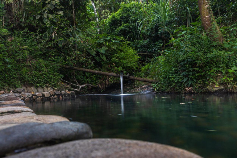 Manu: 7-Day Amazon Wildlife Tour with Jungle Lodges
